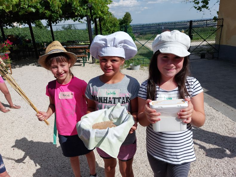 20220714 160925.jpg 20220714 160925.jpg