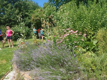 [1659341971515546.jpg]