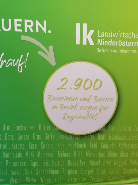 IMG 20220819 113913.jpg