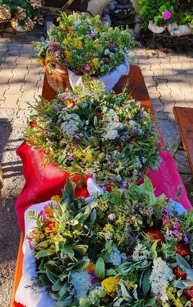 IMG-20220814-WA0003.jpg IMG-20220814-WA0003.jpg