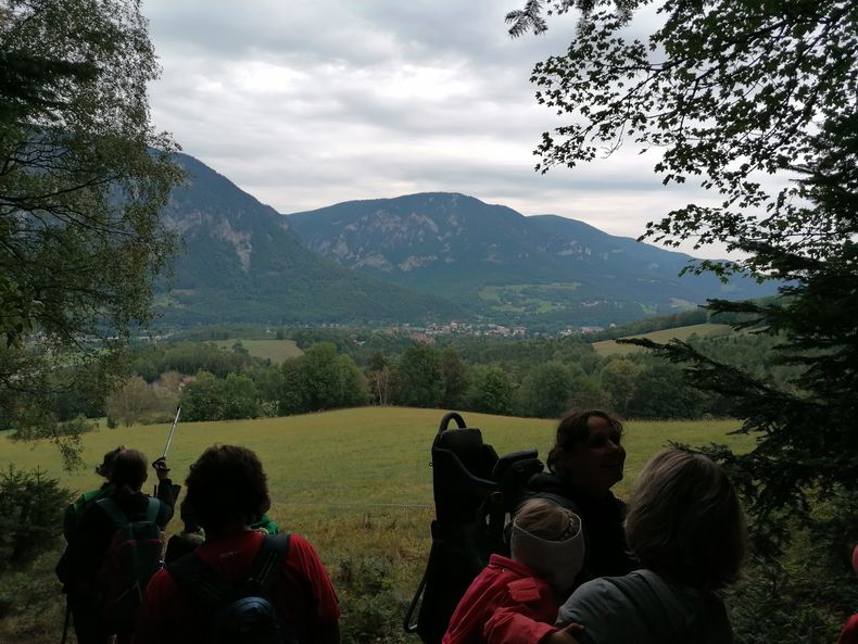 IMG 20220831 142345.jpg