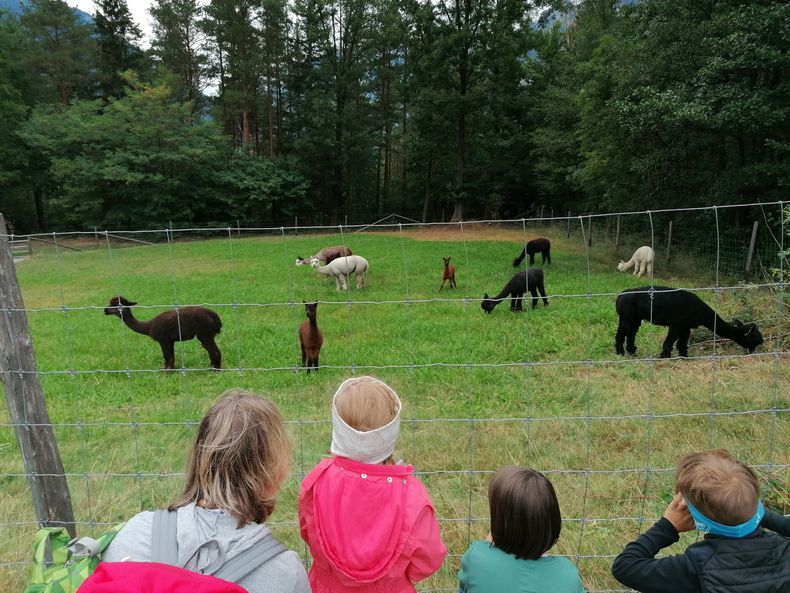 IMG 20220831 144131.jpg