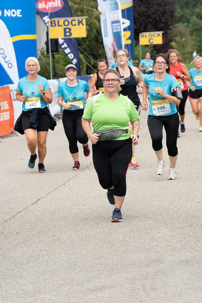 Frauenlauf 2022 ©&nbsp;Die Bäuerinnen NÖ/Pomassl