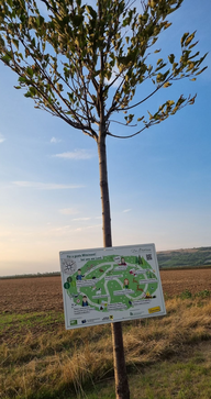 [1662535943424487.png]