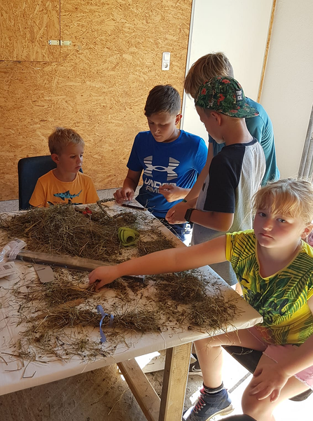 Die Bäuerinnen von Gresten-Land und Gresten