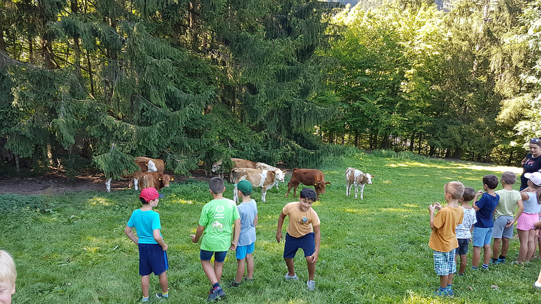 Die Bäuerinnen von Gresten-Land und Gresten