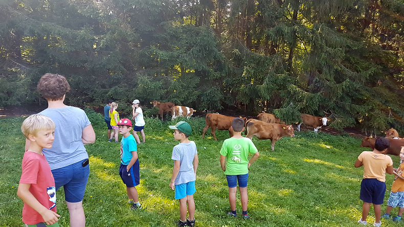 Die Bäuerinnen von Gresten-Land und Gresten Die Bäuerinnen von Gresten-Land und Gresten