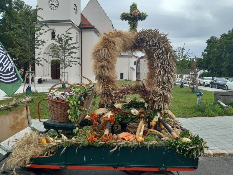 thumbnail 1b8bf29e-f8d6-4f0f-b049-5e9e5fa476ff.jpg