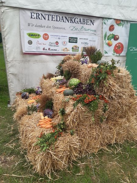 thumbnail 2b08e147-712a-486c-9aa6-d8d6e5779c7b.jpg