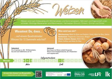 [1665087286608458.jpg]