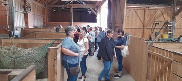 [1665941610254292.jpg]