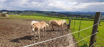 [1665941612551431.jpg]