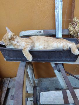 [1665941623744851.jpg]