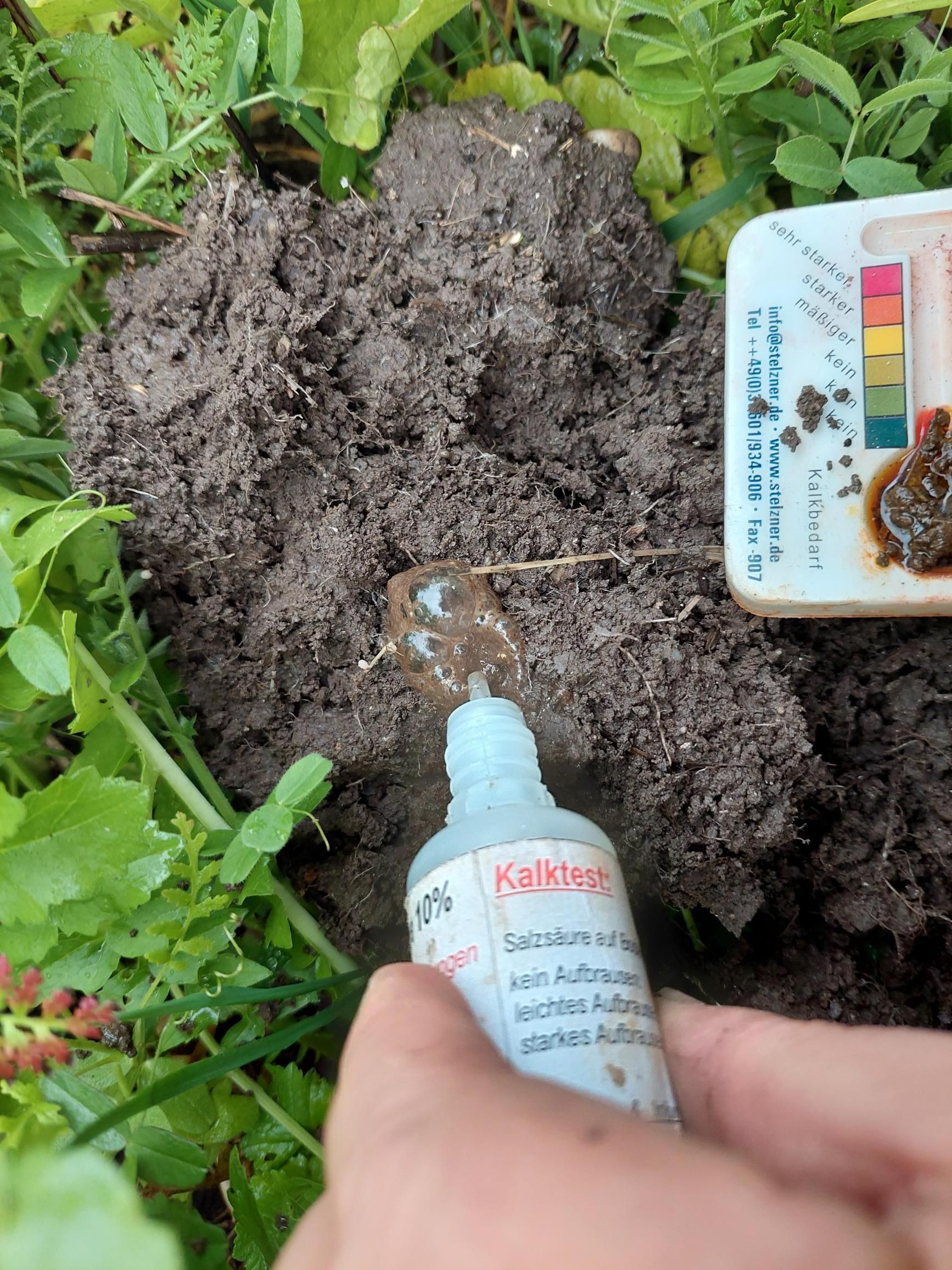 Bestimmung von freien Kalk mit 10%iger Salzsäure, pH Wertbestimmung mit pH-Meter © BWSB/Wallner