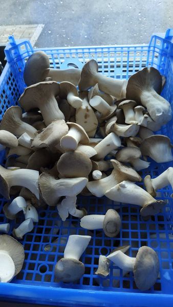 2022 Exkursion 2022 Exkursion