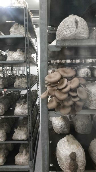 2022 Exkursion 2022 Exkursion