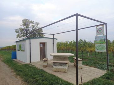 [1666091981329660.jpg]