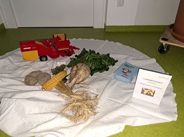 [1666167828535648.jpg]