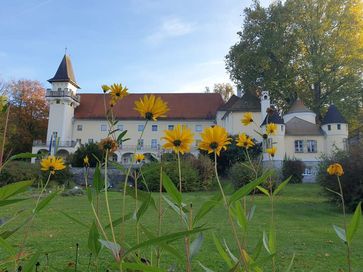 [1666814510118167.jpg]