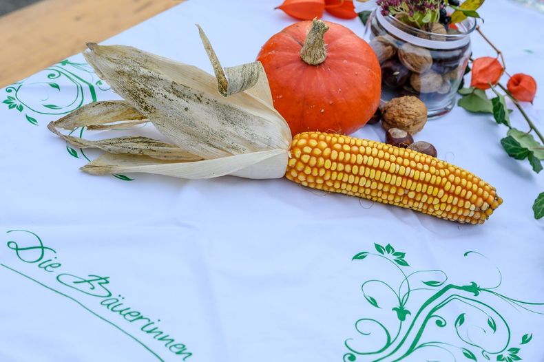 Eröffnung LANDe Platzl und 1. Aktivtag_Hardegg_2022-10-26 ©&nbsp;Die Bäuerinnen NÖ/Ing. Gerald Pfabigan