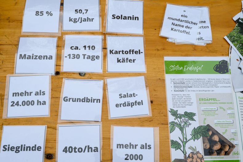 AKTIVTAG-HARDEGG 2022-10-26 006 Z623747 (c)-Ing-Gerald-PFABIGAN.jpg AKTIVTAG-HARDEGG 2022-10-26 006 Z623747 (c)-Ing-Gerald-PFABIGAN.jpg