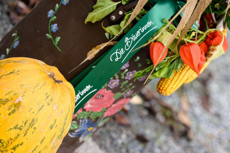 AKTIVTAG-HARDEGG 2022-10-26 039 Z928101 (c)-Ing-Gerald-PFABIGAN.jpg AKTIVTAG-HARDEGG 2022-10-26 039 Z928101 (c)-Ing-Gerald-PFABIGAN.jpg