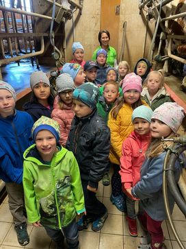 [1666897862555484.jpg]