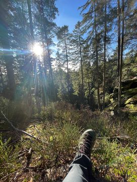 [1667481902060152.jpg]