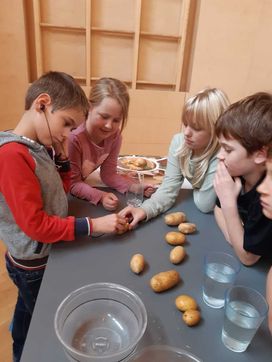 [1667585406000733.jpg]