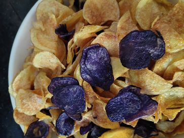 [1667585565764223.jpg]