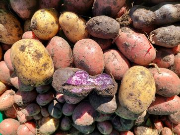 [1667585637115622.jpg]