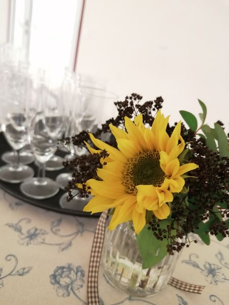 IMG 20221116 133845.jpg