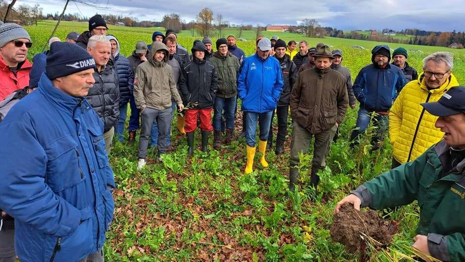 Besichtigung des Zwischenfruchtversuchs am Betrieb Gebeshuber in Nußbach, 21. November 2022