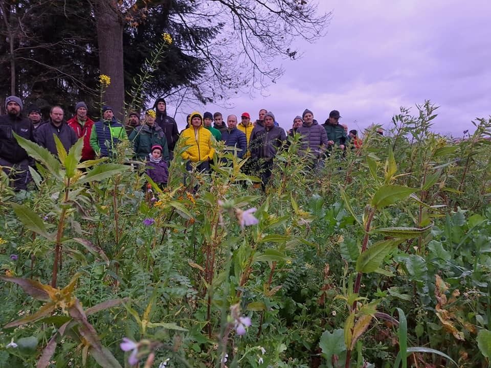 Trotz des "interessanten" Wetters guter Besuch heute bei der Besichtigung des Zwischenfruchtversuches in Nußbach am Betrieb der Familie Gebeshuber. Viel wurde diskutiert und viele Erfahrungen wurden ausgetauscht.  © BWSB