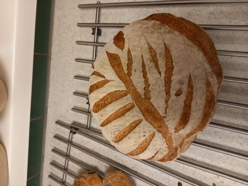 20221125 183150.jpg 20221125 183150.jpg