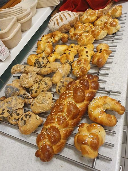 IMG-20221125-WA0008.jpg IMG-20221125-WA0008.jpg