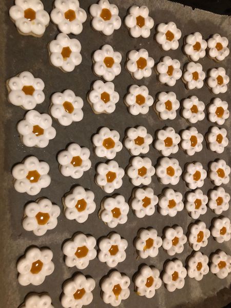 WhatsApp Image 2022-11-20 at 19.10.18.jpg