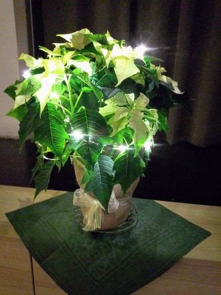 IMG 20221130 201124.jpg