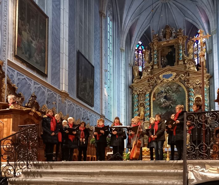 20221130 144801.jpg 20221130 144801.jpg