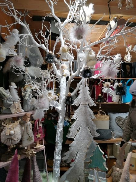 IMG 20221203 101448.jpg