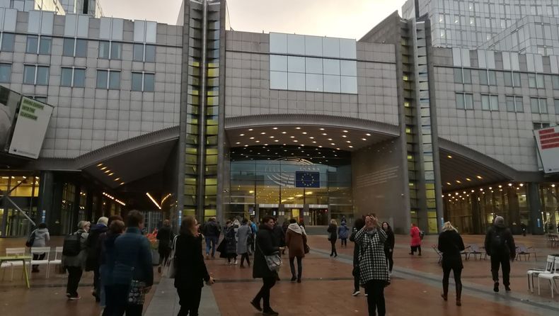 IMG 20221117 081919....jpg