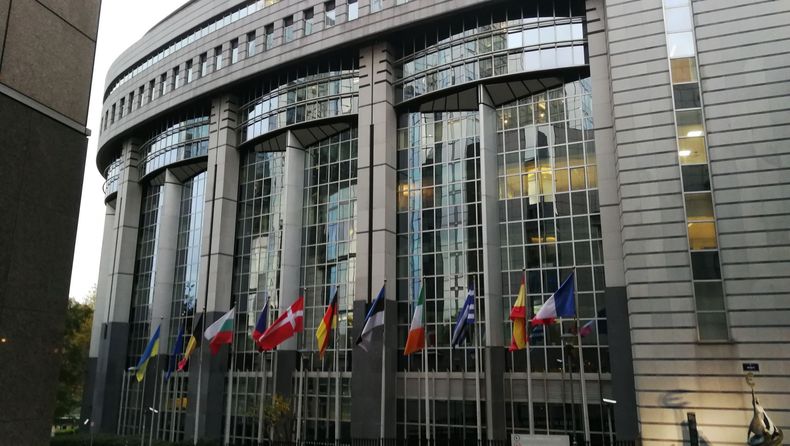 IMG 20221117 082457....jpg