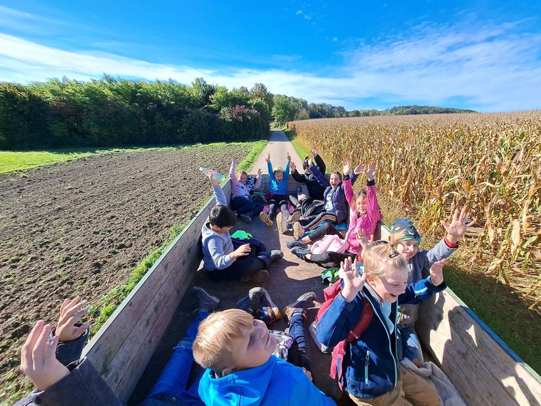 20220928 100840.jpg 20220928 100840.jpg