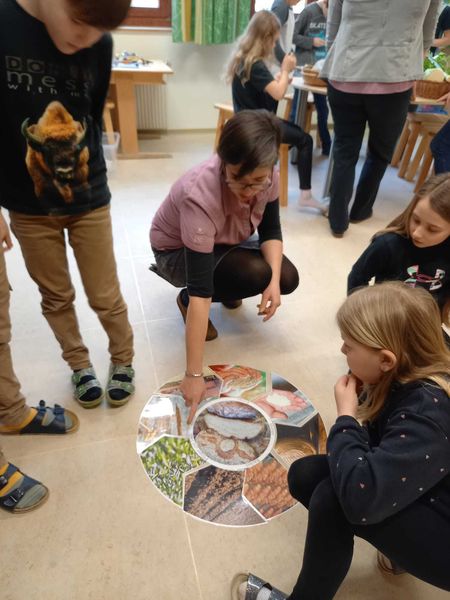 IMG-20230223-WA0017.jpg IMG-20230223-WA0017.jpg