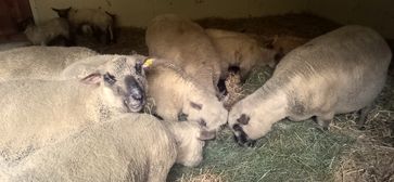 [1678436990083397.jpg]