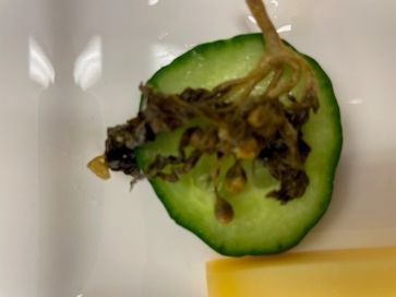 [1681909533719258.jpg]