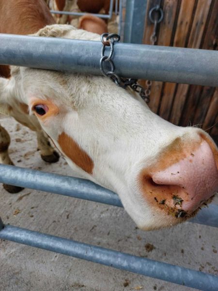 Exkursion 2023 ©&nbsp;Die Bäuerinnen im Gebiet Litschau