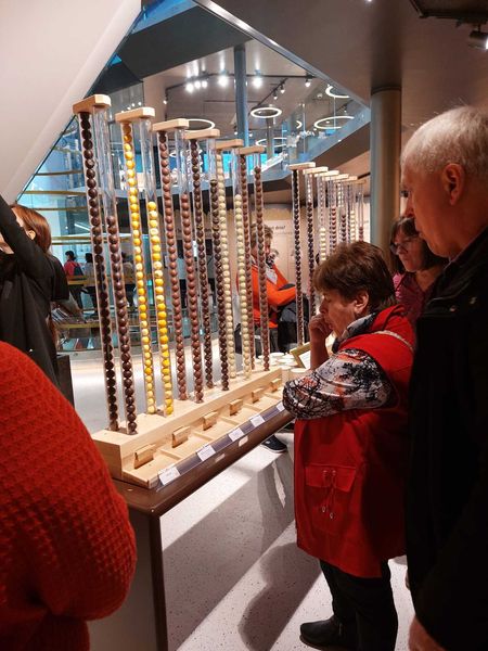 Exkursion 2023 © Die Bäuerinnen im Gebiet Litschau Exkursion 2023 © Die Bäuerinnen im Gebiet Litschau