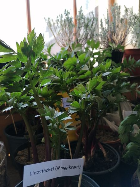 IMG 20230422 105239.jpg