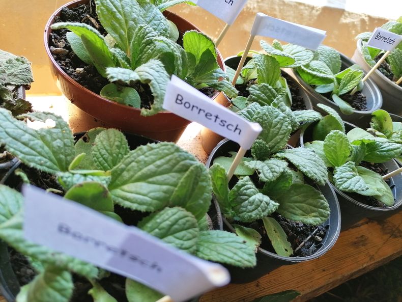 IMG 20230422 105437 edit 485124427091597.jpg